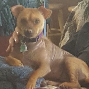 Meet your Posher, Janice